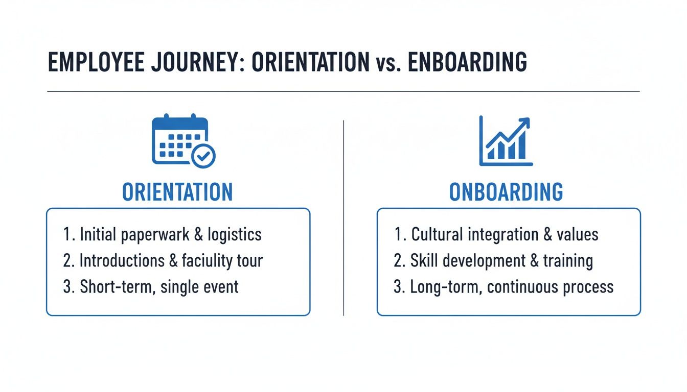 An infographic comparing employee orientation and onboarding, detailing their scope, duration, and key activities.