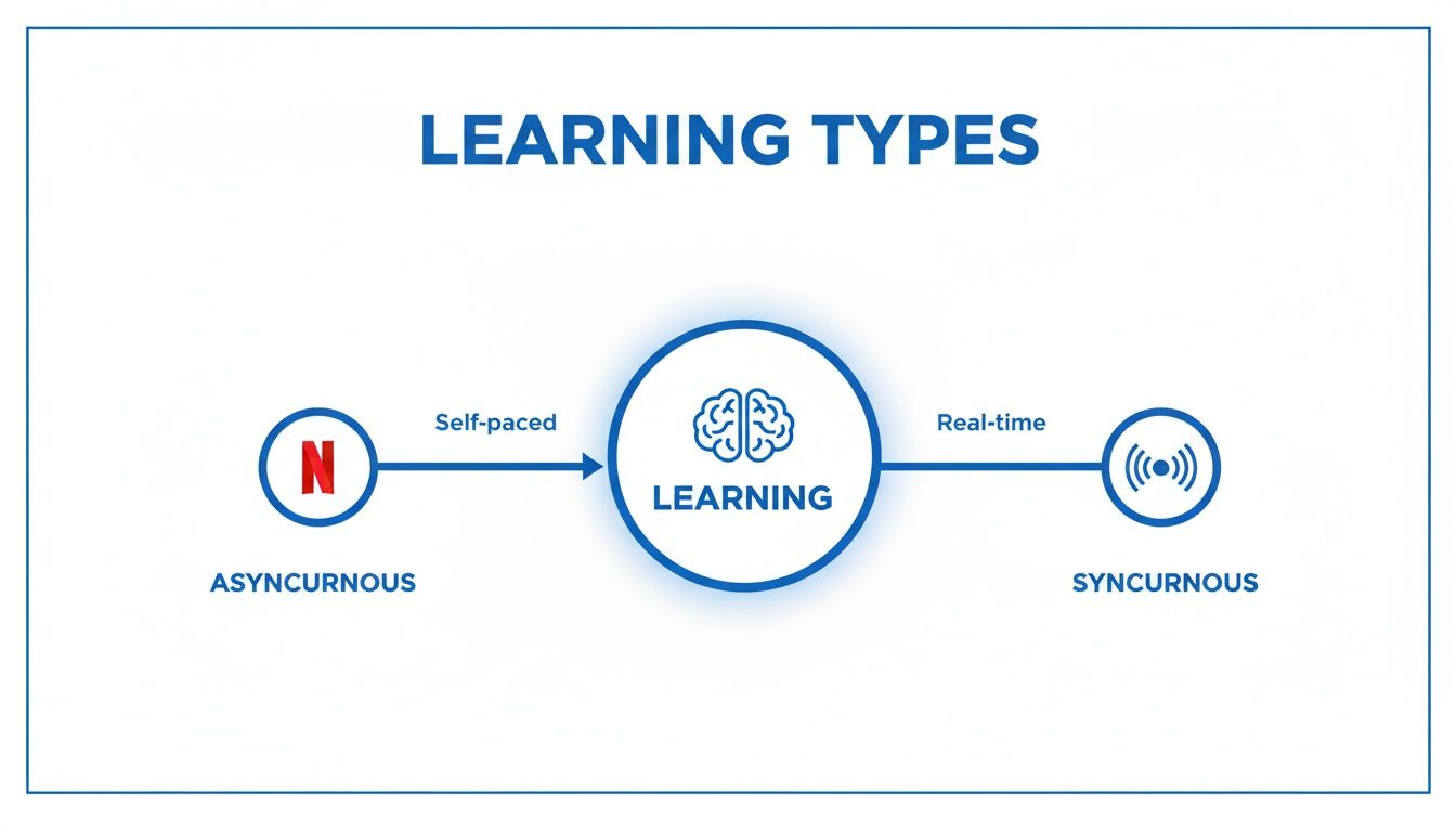 Diagram illustrating two learning types: asynchronous (self-paced, like Netflix) and synchronous (real-time).